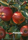 Moja Pohoda 10/2021